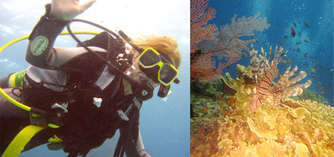 under-the-sea